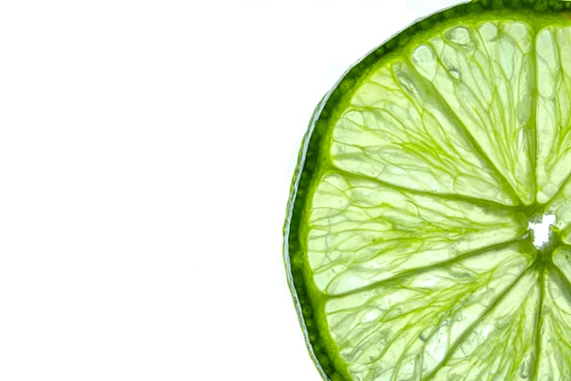 Karverondelia contacto